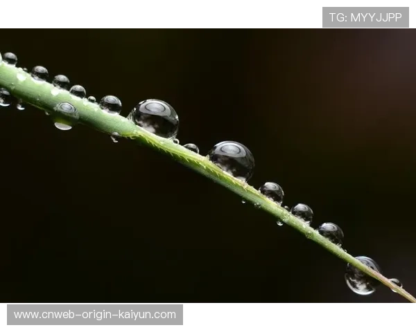太阳状态低迷：你的生活是否也陷入了阴云密布？
